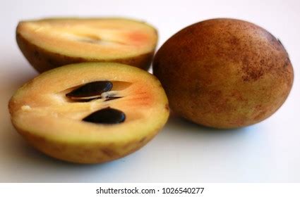 tsiko clipart|Tsiko Images, Stock Photos & Vectors .